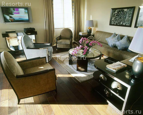 Hotel Plaza Athenee 25